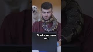 Why Cats Survive Snake Bite Better Than Dogs