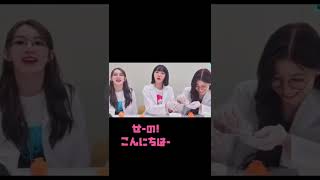チェウォンさんは骨の髄まで「IZ*ONE」#shorts #chaewon #izone #チェウォン