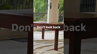 Revamp a Veneer Table with Real Wood in Minutes!✨ | Retique It Wood Finish Kit 🌿 #diyhomeimprovement