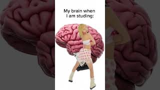 Your brain! #lesserafim #smart #brain #exam #idkwhattoputhere