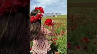 #videosong#★Ƒяιєη∂ѕ★#banglavideosong