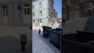 This is how you recycle a plastic bottle in 5 seconds.