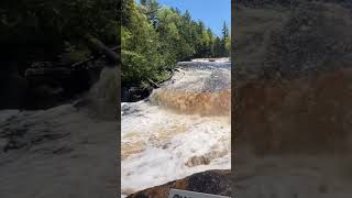Exploring Tahquamenon Falls #travelvlog #explorer #exploreusa #usavlogs #vlog #shorts #short #music