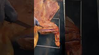 yummy food (Cutting old ham and Roasted whole sheep ) #oldham #bbqmeat #meat