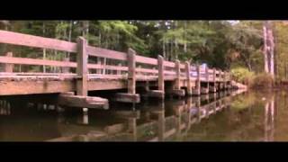 "Just Cause" (1995)  - Scream!