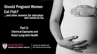 Chemical Exposures and Baby's Long-term Health (Part 2)