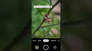 Macro photography using Mobile Macro lens 💥 #shorts #youtubeshorts
