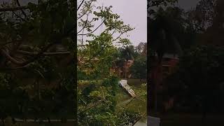 police lines school and college Bogura #nature