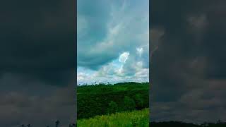 #love #nature  মির্জা পুর চা বাগান
