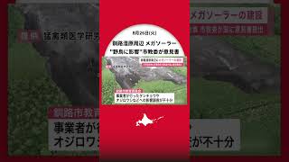 【釧路湿原メガソーラー建設】『タンチョウやオジロワシの生息に影響大』市教委が国の文化庁に"意見書"を提出『事業者の調査不十分』と指摘〈北海道釧路市〉
