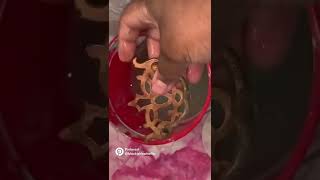 Cleaning hack