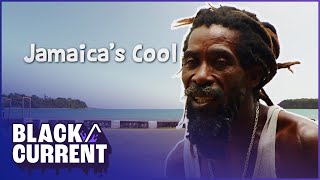 Island Lifestyle Unveiled: Jamaica's Pushcarts Revealed |Black Current