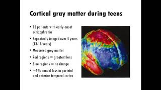 Neuroscience of Mental Disorders