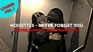 𝑁𝑜𝑖𝑠𝑒𝑡𝑡𝑒𝑠 - 𝑁𝑒𝑣𝑒𝑟 𝐹𝑜𝑟𝑔𝑒𝑡 𝑌𝑜𝑢 (louder,underwater + TikTok slowed ver.)
