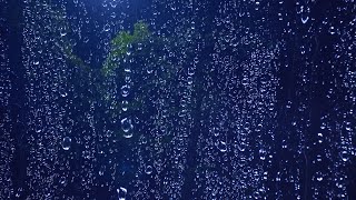 Stormy Rain & Thunder on the Window | Beat Insomnia Tonight and Sleep Deeply