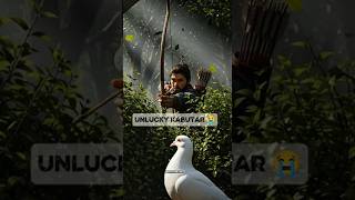 Emotional Pigeon Story | Heart Touching Short Film in Hindi"#shortstory #emotionalstory #pigeonstory