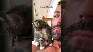 携帯電話サイズの子猫が男性を猫好きに変える | The Dodo #thedodoanimals #cat