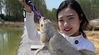 错过太可惜！久违的钓鱼，一竿一条爽翻了🐟 #钓鱼人的快乐
