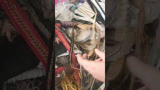 lace wholesale shop in Peshawar saddar |Branded laces #foryou