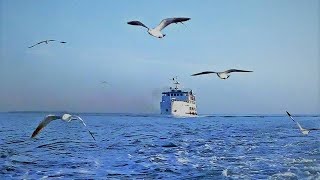 Avijog heart touching song|||slow version|||Best friend natok song