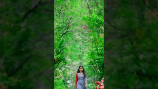 Jomonte Suvisheshangal vertical 🪄🤍 #dulquersalmaan #anupamaparameswaran