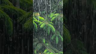 #rainsounds #spamusic #meditationmusic #studymusic #soundofrain #relaxingmusic #soundsforsleeping