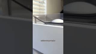 Ode Brew Grinder Gen 2 from Fellow (ad)