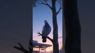 A Pigeon's Story #PigeonStory #MoralStory #Animation #CGI #Shorts #YouTubeShorts #ViralVideo #Family