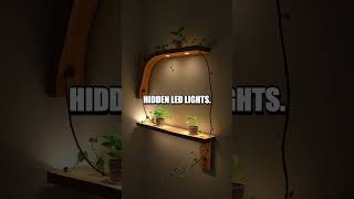 Whispering Wall Oasis DIY Makeover