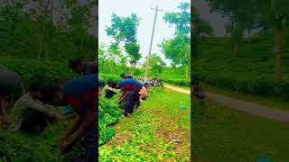 আমদের  দেশের চাহি পাতা বিদেশে বড় নাম রে #%*#*