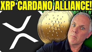 XRP AND CARDANO PARTNERSHIP! BREAKING XRP NEWS! HOW SERIOUS IS THIS FOR XRP?!