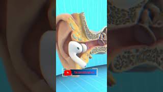 #FactShorts #HealthFact #EarbudsFact #DangerousFact #DidYouKnow #ShortsViral #TrendingShorts