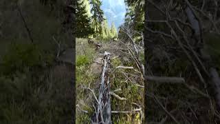 Setting mics in Alps before the storm