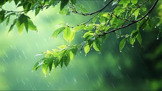 MUSICA ULTRA RELAJANTE para Reducir el Estrés y la Ansiedad   Música de Relajación y Meditación