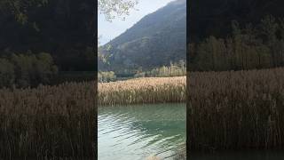 Lago di cavazzo , italy 🇮🇹 #travel #italytravelguide #photography #italytourism