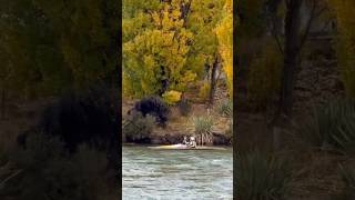 From Sunrise to Aurora – Why I Keep Travelling #traveldeeper #travelergirl #discovertheworld