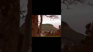 Twin Peaks #TwinPeaks #InspiredByTwinPeaks #MoodyVibes #CinematicReel #FilmLook #VisualInspo