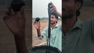 Funny Clips @MoveeTimes  #shorts #funnyvideo #trendingshorts