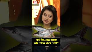 কেউ হাঁস, কেউ পাঙ্গাস;আর ম্যাচের ঘটছে সর্বনাশ... | Sports News | Khelajog