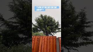 London #shorts #rainyday #summer #london #londres #nature #soundofrain 💦 ☔️