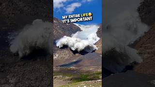 カメラマンはオスカーに値する😳 #shorts