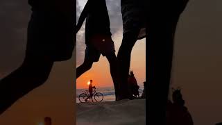 Evening # #sunset  #bollywoodsongs #music #love #song #slowedandreverbedsongs