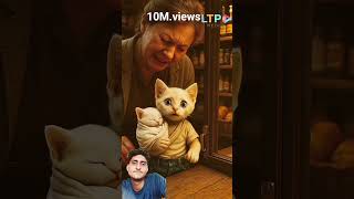 10M.views sad story ♥️ poor mama cat cute cartoon animals