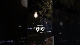 ঘুম ঘুম চাঁদ 🌸 #music #angelnoor #covermusic #coversong #love #fyp
