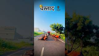 Kadamsir 👑🔝 golafek workout #policebharti2024 #ytshorts #trendingshorts