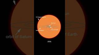 പ്രപഞ്ചത്തിലെ ഏറ്റവും വലിയ നക്ഷത്രങ്ങൾ |fact science shorts #space #umeshambady #stars #planets