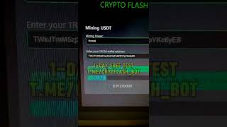 Brute Forcing BTC Wallet What Happened
