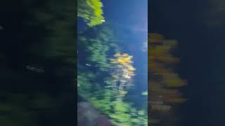#emotionallofisong #banglalofi #slowedreverb #sadlofi #lofi #nonstoplofi #banglasadsong #all
