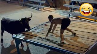 Try Not To Laugh 🤣 Top 100 Funniest Videos Ever 🎬🔥 Memes, Epic Fails & Pranks Compilation Part 37