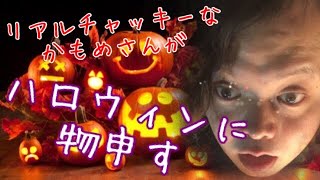 リアルチャッキーなかもめさんがハロウィンに物申す